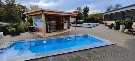 Bild von Poolbau & Felsdesign GmbH & Co. KG