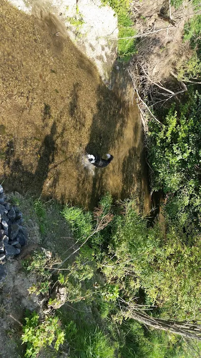 Bild von Schwimmbadtechnik - Kerstin Hirschfeld
