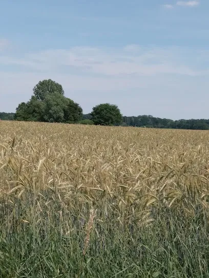 Bild von Schwimmbadtechnik Witte GmbH